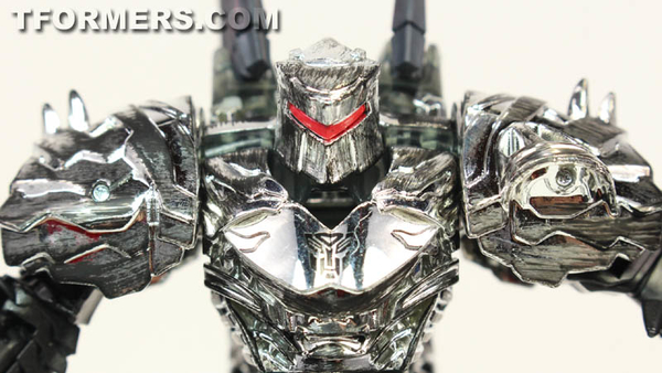 TF4 Dinobots Platinum Edition Unleashed Shared BBTS Exclusive 5 Pack  (39 of 87)